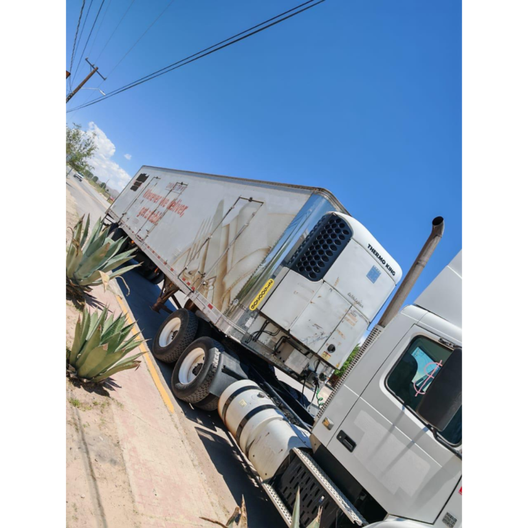 CAJA REFRIGERADA 2015-T01 (6)