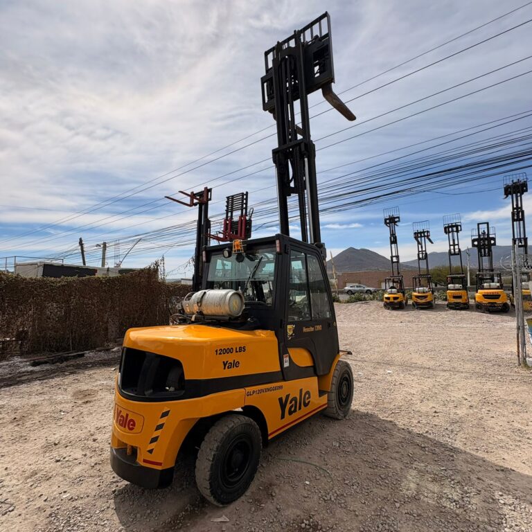 WhatsApp Image 2026-01-29 at 1.31.05 PM (3)