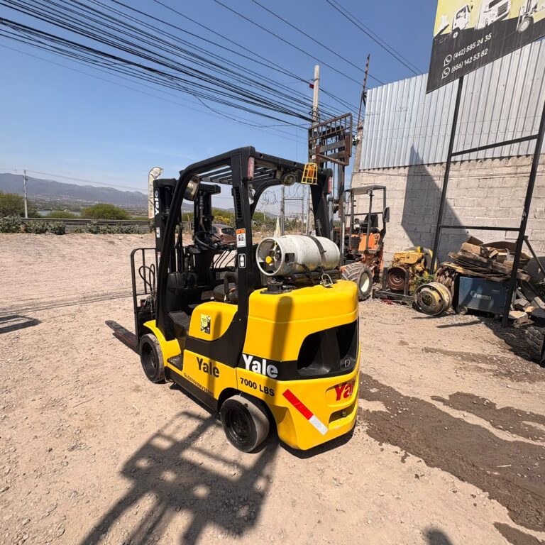 WhatsApp Image 2026-03-10 at 12.00.58 PM (1)