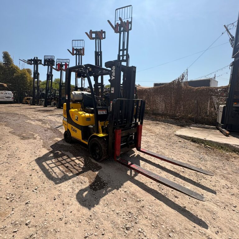 WhatsApp Image 2026-03-10 at 12.00.59 PM